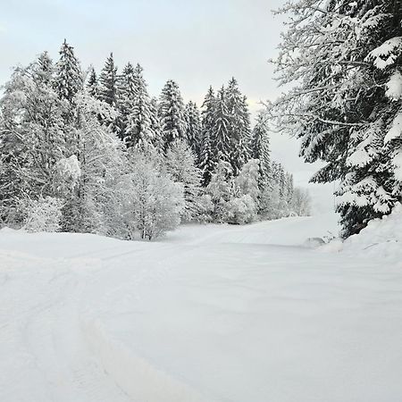 Alpen Studio Ellmau II Εξωτερικό φωτογραφία