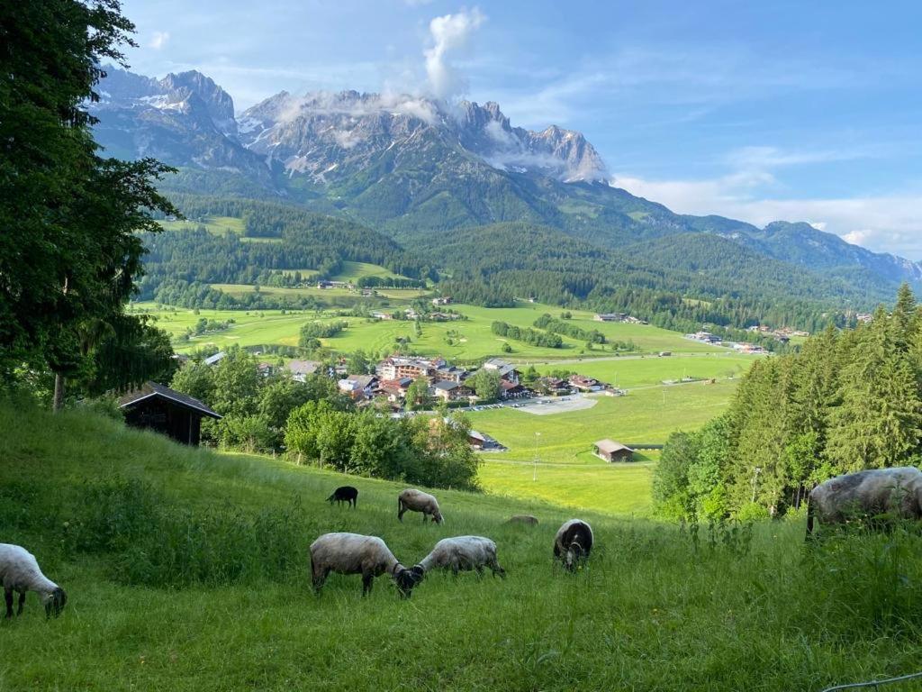 Alpen Studio Ellmau II Εξωτερικό φωτογραφία